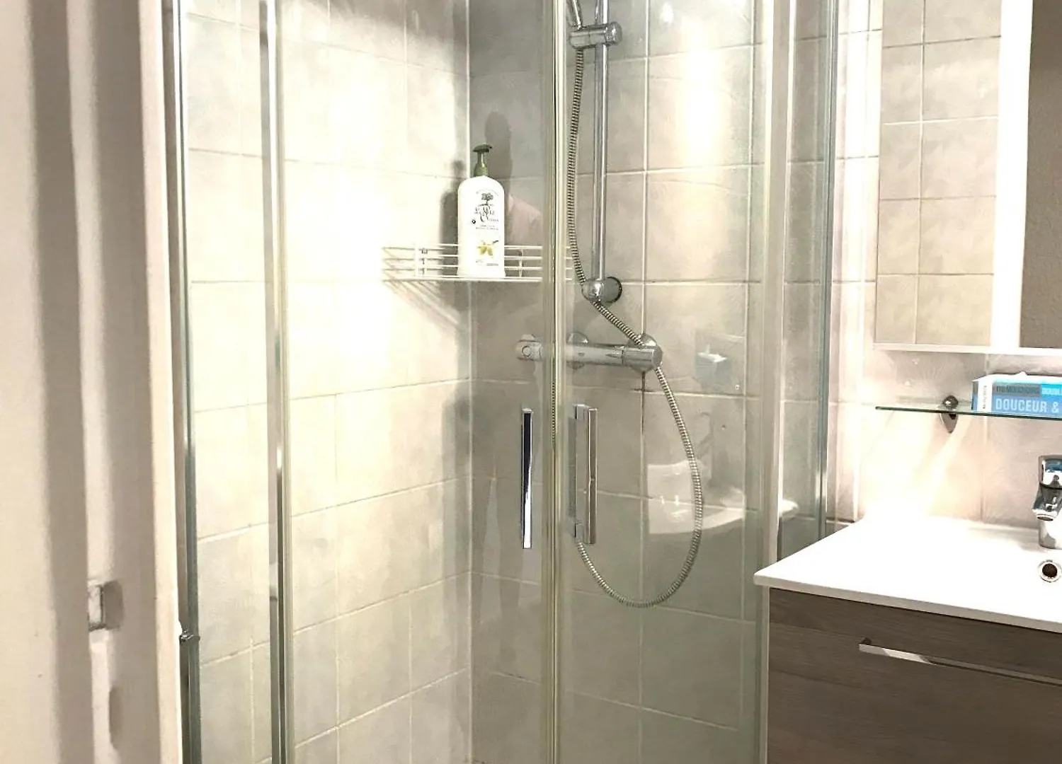 Le Centre - Hypercentre - Face Parcs & Opera - Proche Thermes Vichy France